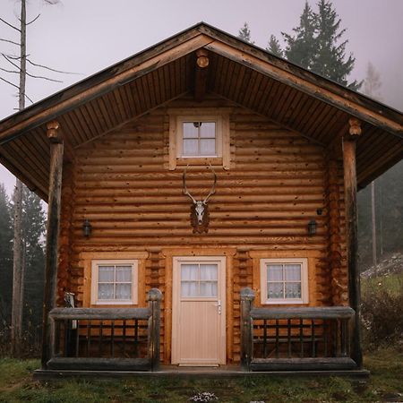 Anewandterhof Apartment Брунико Екстериор снимка